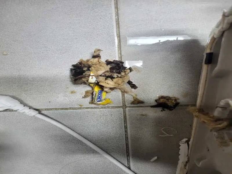 변기에 빠진 물건, 내시경으로 꺼내는 방법